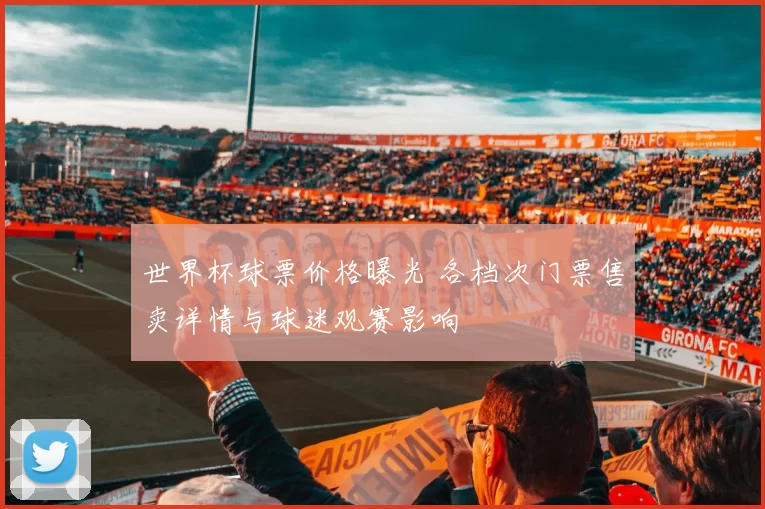 世界杯球票价格曝光 各档次门票售卖详情与球迷观赛影响