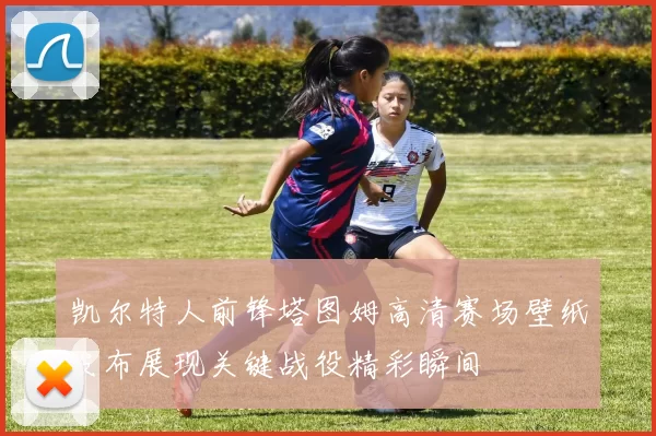 凯尔特人前锋塔图姆高清赛场壁纸发布展现关键战役精彩瞬间