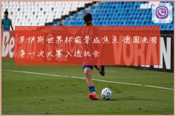 罗伊斯世界杯前景成焦点 德国老将争一次大赛入选机会