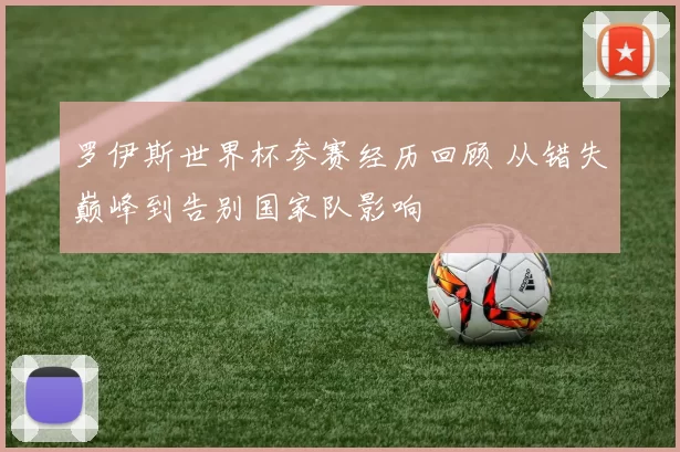 罗伊斯世界杯参赛经历回顾 从错失巅峰到告别国家队影响
